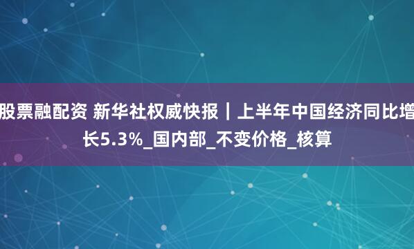 股票融配资 新华社权威快报｜上半年中国经济同比增长5.3%_国内部_不变价格_核算
