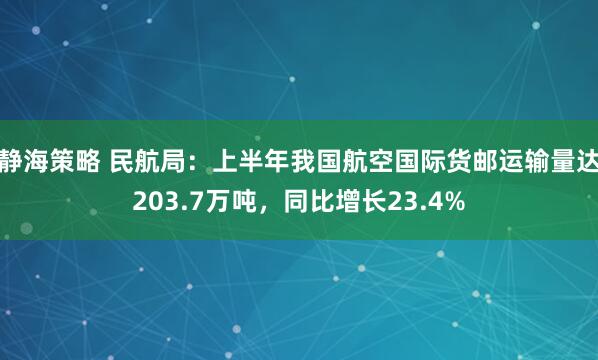 静海策略 民航局：上半年我国航空国际货邮运输量达203.7万吨，同比增长23.4%