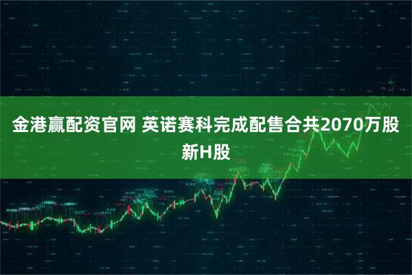 金港赢配资官网 英诺赛科完成配售合共2070万股新H股