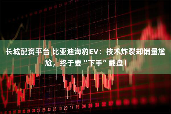 长城配资平台 比亚迪海豹EV：技术炸裂却销量尴尬，终于要“下手”翻盘！