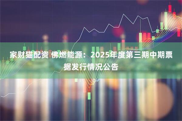 家财猫配资 佛燃能源：2025年度第三期中期票据发行情况公告