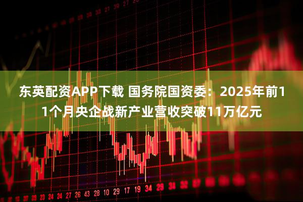 东英配资APP下载 国务院国资委：2025年前11个月央企战新产业营收突破11万亿元