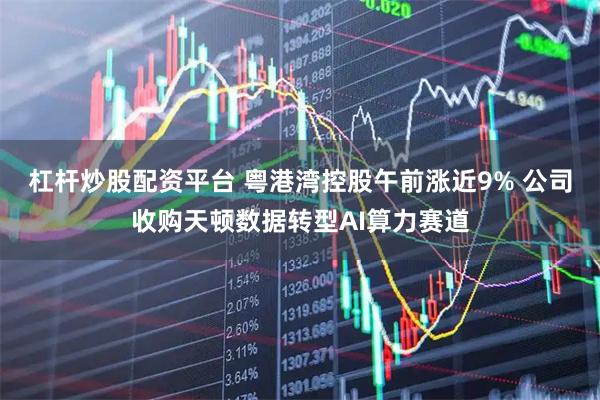 杠杆炒股配资平台 粤港湾控股午前涨近9% 公司收购天顿数据转型AI算力赛道