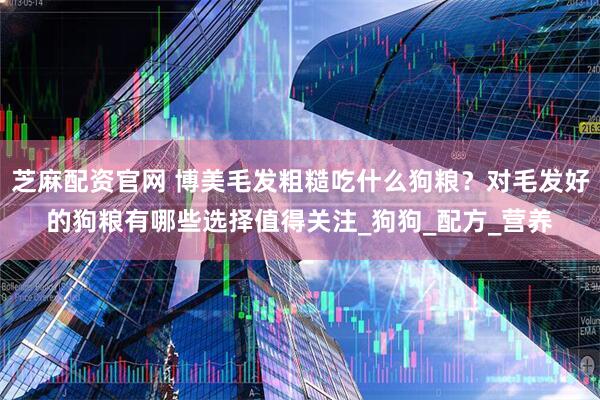 芝麻配资官网 博美毛发粗糙吃什么狗粮？对毛发好的狗粮有哪些选择值得关注_狗狗_配方_营养