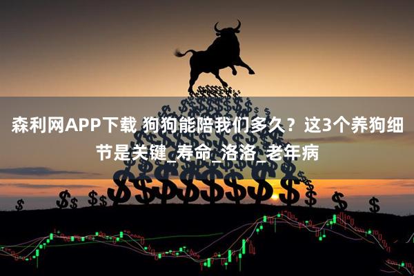 森利网APP下载 狗狗能陪我们多久？这3个养狗细节是关键_寿命_洛洛_老年病