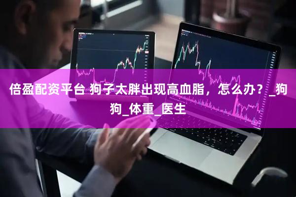 倍盈配资平台 狗子太胖出现高血脂，怎么办？_狗狗_体重_医生