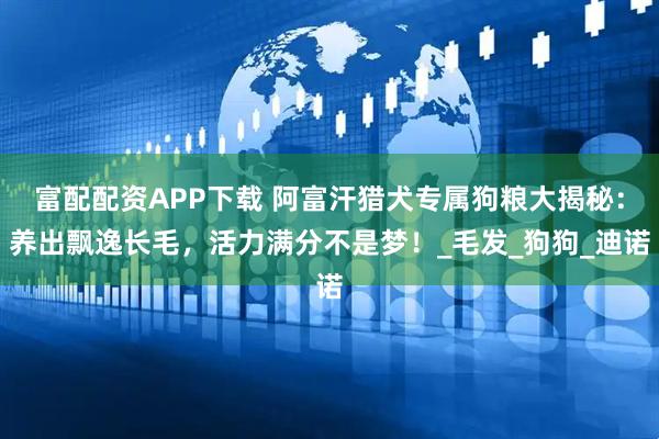 富配配资APP下载 阿富汗猎犬专属狗粮大揭秘：养出飘逸长毛，活力满分不是梦！_毛发_狗狗_迪诺