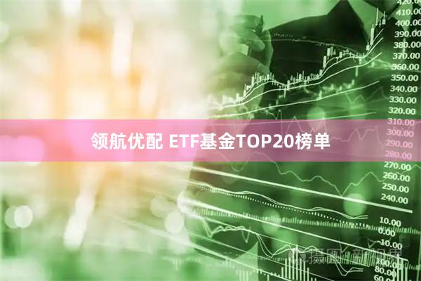 领航优配 ETF基金TOP20榜单