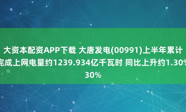 大资本配资APP下载 大唐发电(00991)上半年累计完成上网电量约1239.934亿千瓦时 同比上升约1.30%