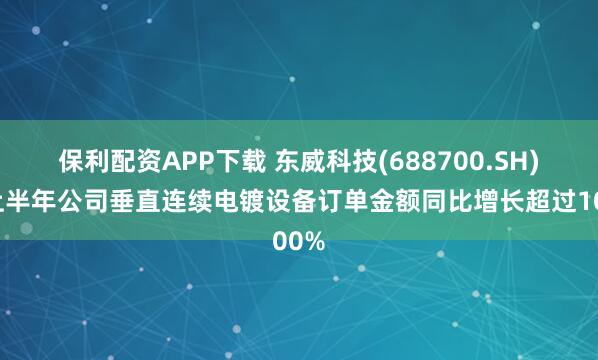 保利配资APP下载 东威科技(688700.SH)：上半年公司垂直连续电镀设备订单金额同比增长超过100%
