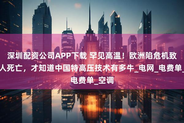深圳配资公司APP下载 罕见高温！欧洲陷危机致上千人死亡，才知道中国特高压技术有多牛_电网_电费单_空调
