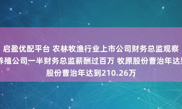 启盈优配平台 农林牧渔行业上市公司财务总监观察：8家生猪养殖公司一半财务总监薪酬过百万 牧原股份曹治年达到210.26万