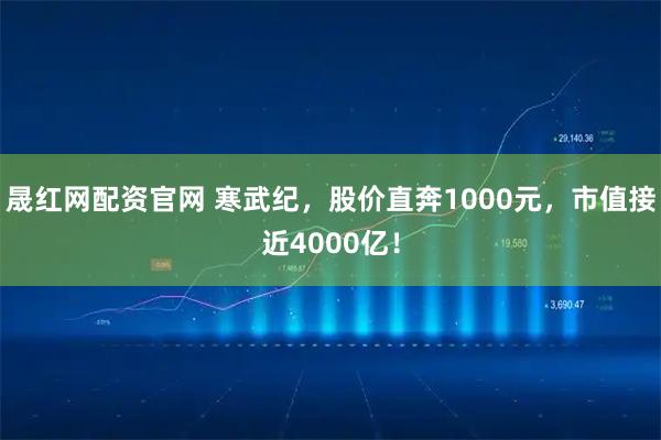 晟红网配资官网 寒武纪，股价直奔1000元，市值接近4000亿！
