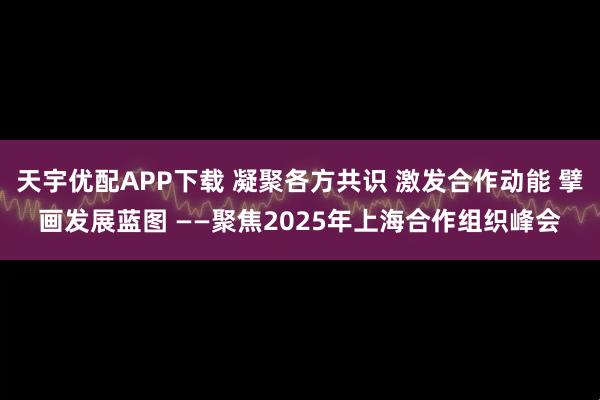 天宇优配APP下载 凝聚各方共识 激发合作动能 擘画发展蓝图 ——聚焦2025年上海合作组织峰会