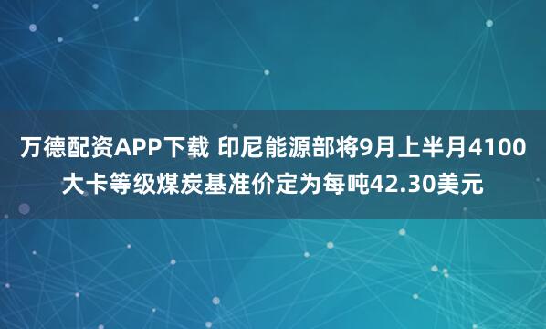 万德配资APP下载 印尼能源部将9月上半月4100大卡等级煤炭基准价定为每吨42.30美元