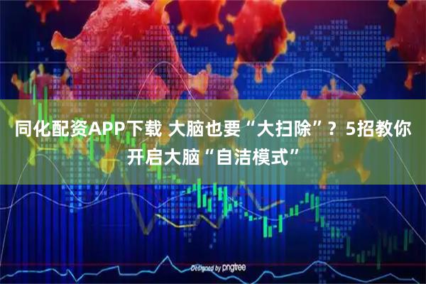 同化配资APP下载 大脑也要“大扫除”？5招教你开启大脑“自洁模式”